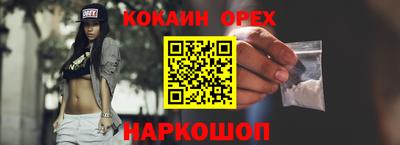 стаф Будённовск