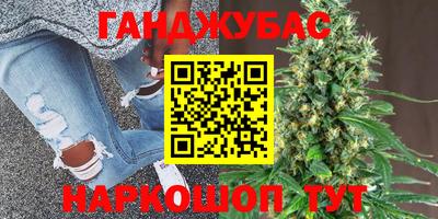 стаф Будённовск