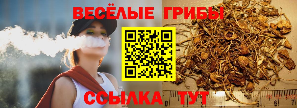 Псилоцибиновые грибы Cubensis  Псилоцибиновые грибы ЛСД  Обнинск  Вход с VPN 